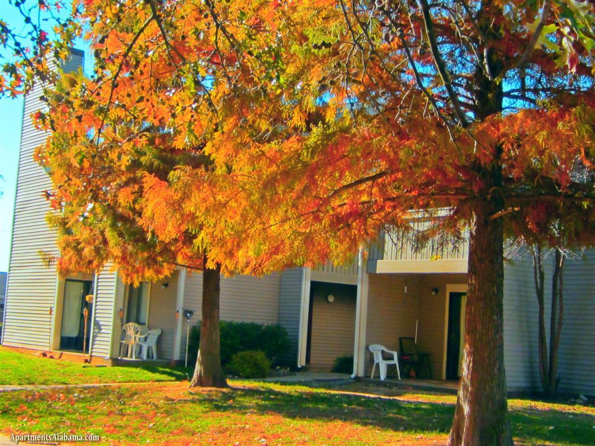 Keystone Apartments Apartment in Owensboro, KY